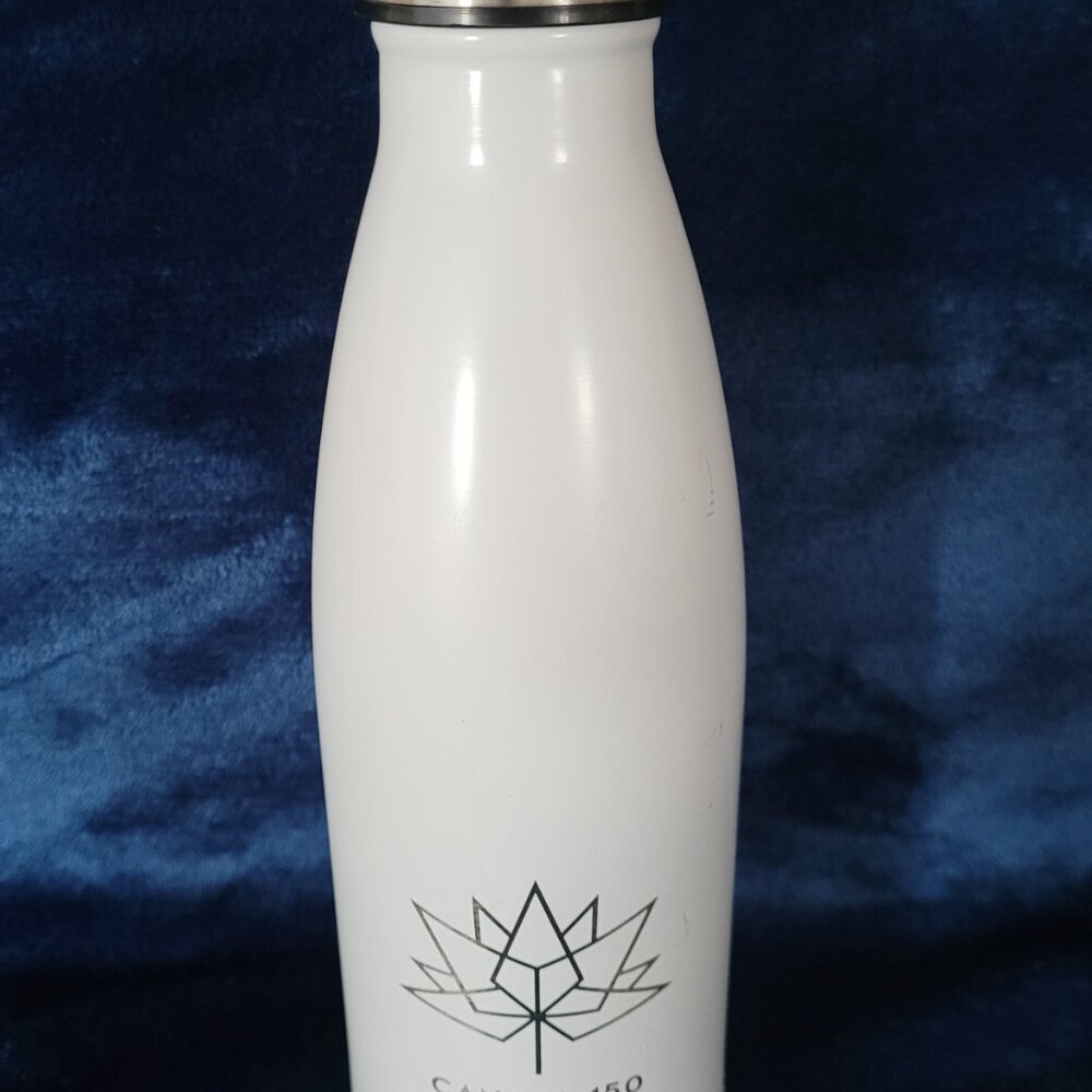 Insulated Stainless Steel Water Bottle